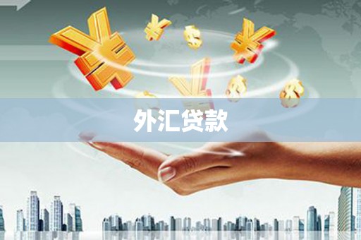舟山新区外汇贷款