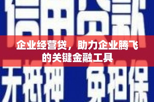 舟山新区企业经营贷，助力企业腾飞的关键金融工具