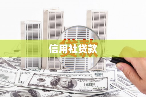 舟山新区信用社贷款