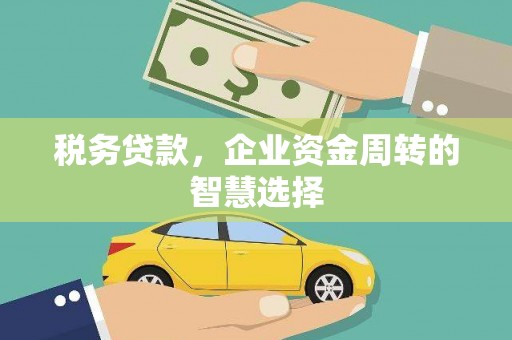 舟山新区税务贷款，企业资金周转的智慧选择