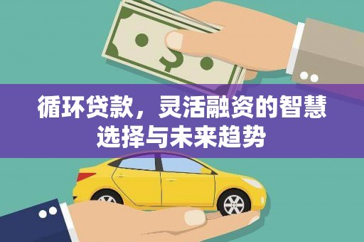舟山新区循环贷款，灵活融资的智慧选择与未来趋势