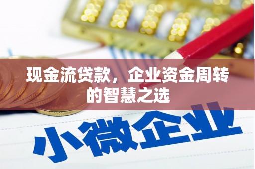 舟山新区现金流贷款，企业资金周转的智慧之选