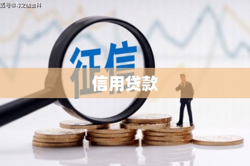 舟山新区信用贷款