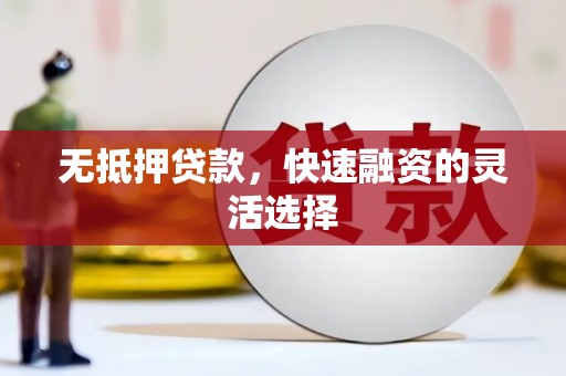 舟山新区无抵押贷款，快速融资的灵活选择