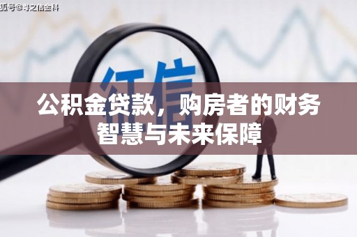 舟山新区公积金贷款，购房者的财务智慧与未来保障