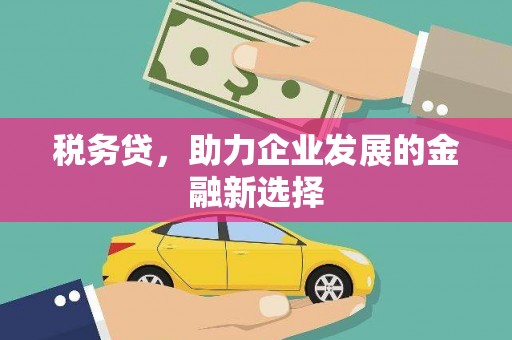 舟山新区税务贷，助力企业发展的金融新选择