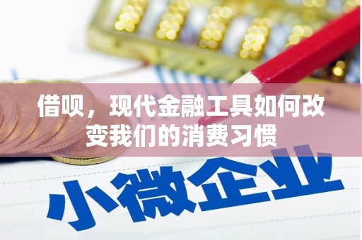 舟山新区借呗，现代金融工具如何改变我们的消费习惯