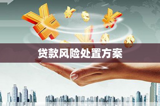 舟山新区贷款风险处置方案