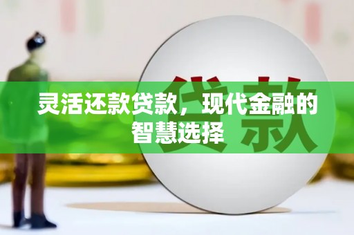 舟山新区灵活还款贷款，现代金融的智慧选择