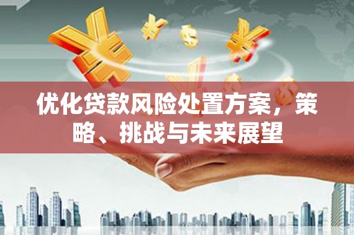 舟山新区优化贷款风险处置方案，策略、挑战与未来展望