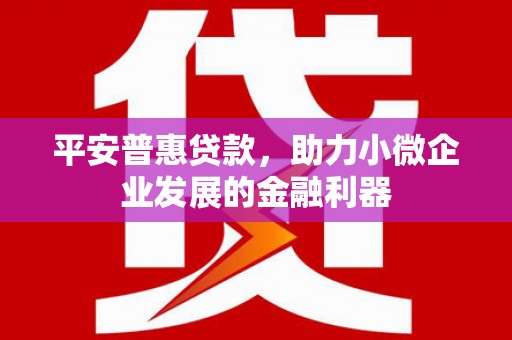 舟山新区平安普惠贷款，助力小微企业发展的金融利器