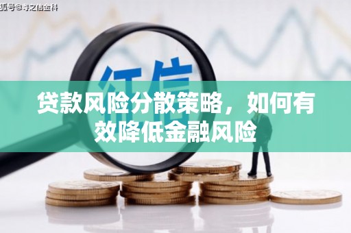 舟山新区贷款风险分散策略，如何有效降低金融风险