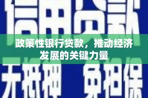 舟山新区政策性银行贷款，推动经济发展的关键力量