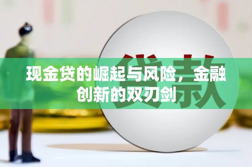 舟山新区现金贷的崛起与风险，金融创新的双刃剑