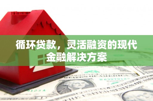 舟山新区循环贷款，灵活融资的现代金融解决方案