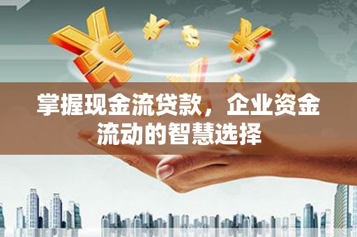 舟山新区掌握现金流贷款，企业资金流动的智慧选择