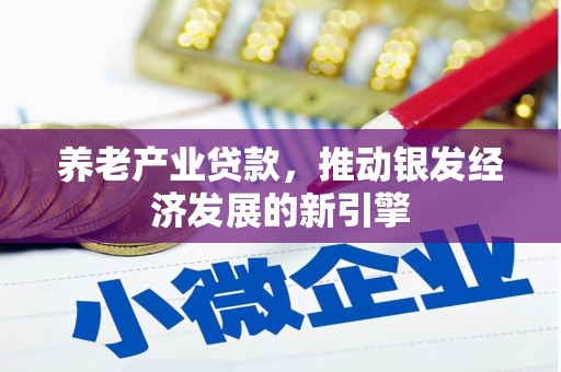 舟山新区养老产业贷款，推动银发经济发展的新引擎