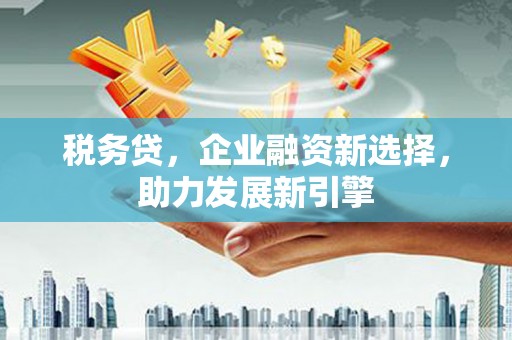 舟山新区税务贷，企业融资新选择，助力发展新引擎