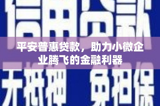 舟山新区平安普惠贷款，助力小微企业腾飞的金融利器