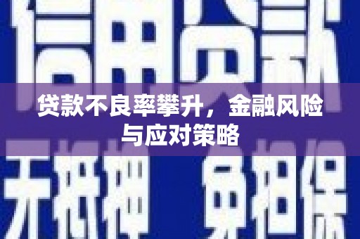 舟山新区贷款不良率攀升，金融风险与应对策略