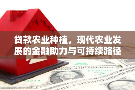 舟山新区贷款农业种植，现代农业发展的金融助力与可持续路径