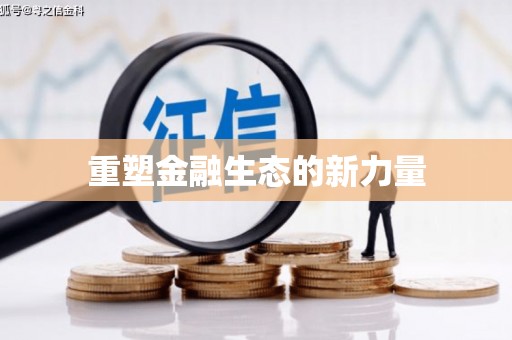 舟山新区重塑金融生态的新力量
