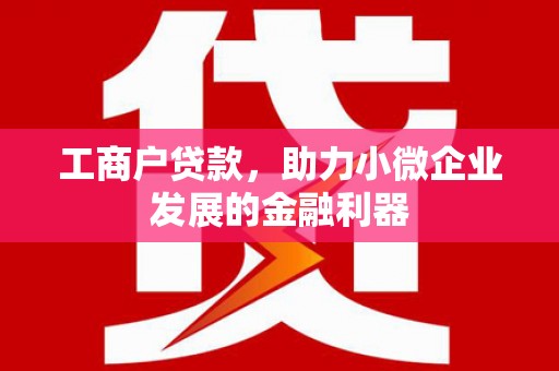 舟山新区工商户贷款，助力小微企业发展的金融利器