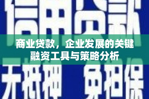 舟山新区商业贷款，企业发展的关键融资工具与策略分析