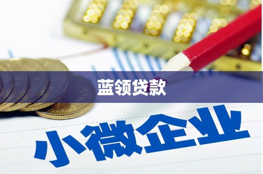 舟山新区蓝领贷款
