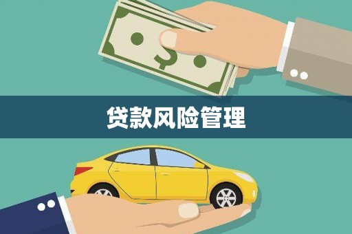 舟山新区贷款风险管理