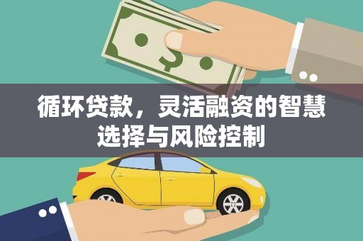 舟山新区循环贷款，灵活融资的智慧选择与风险控制