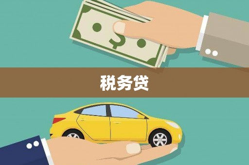 舟山新区税务贷
