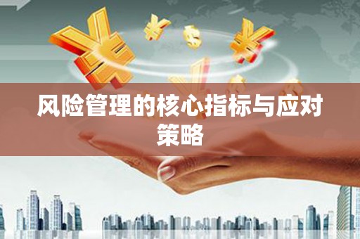 舟山新区风险管理的核心指标与应对策略