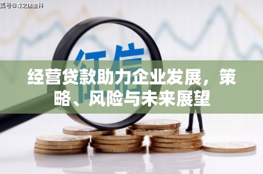 舟山新区经营贷款助力企业发展，策略、风险与未来展望
