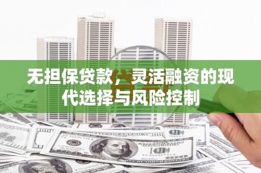 舟山新区无担保贷款，灵活融资的现代选择与风险控制