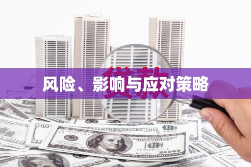 舟山新区风险、影响与应对策略