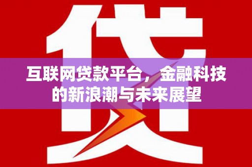 舟山新区互联网贷款平台，金融科技的新浪潮与未来展望