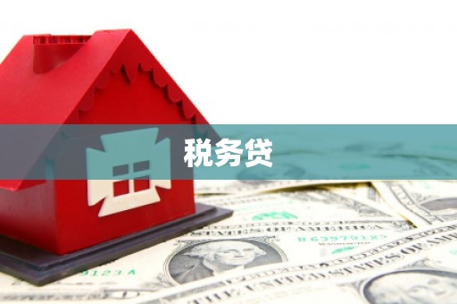 舟山新区税务贷