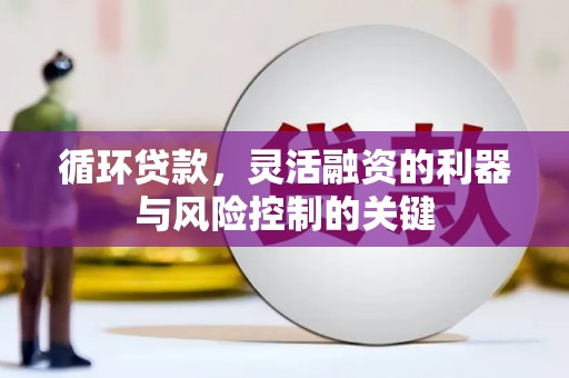 舟山新区循环贷款，灵活融资的利器与风险控制的关键