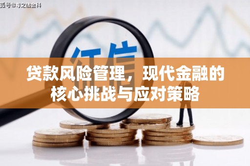 舟山新区贷款风险管理，现代金融的核心挑战与应对策略