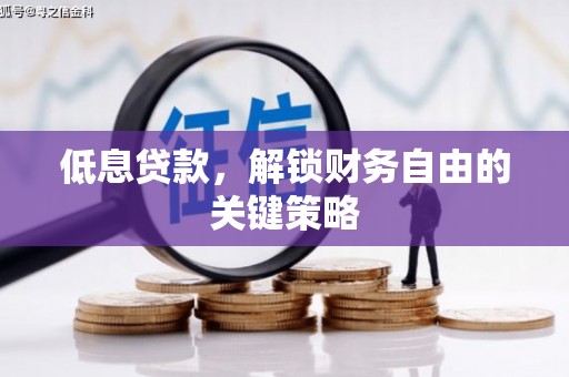 舟山新区低息贷款，解锁财务自由的关键策略