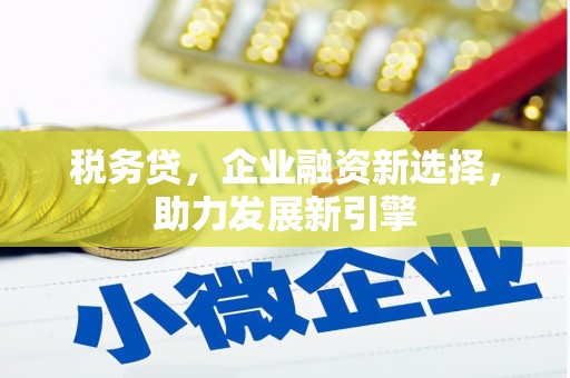舟山新区税务贷，企业融资新选择，助力发展新引擎