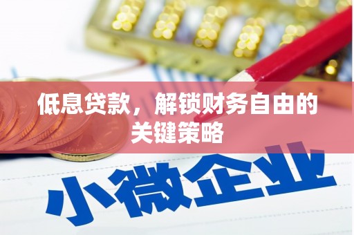 舟山新区低息贷款，解锁财务自由的关键策略