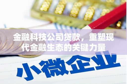 舟山新区金融科技公司贷款，重塑现代金融生态的关键力量