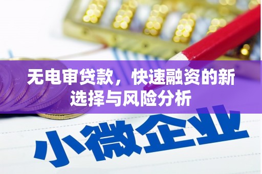 舟山新区无电审贷款，快速融资的新选择与风险分析