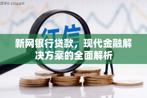 舟山新区新网银行贷款，现代金融解决方案的全面解析