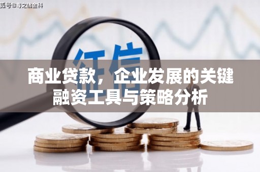 舟山新区商业贷款，企业发展的关键融资工具与策略分析