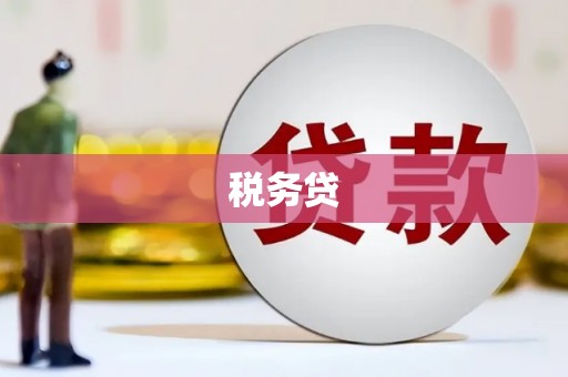 舟山新区税务贷
