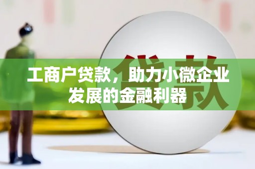 舟山新区工商户贷款，助力小微企业发展的金融利器