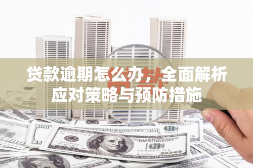 舟山新区贷款逾期怎么办，全面解析应对策略与预防措施